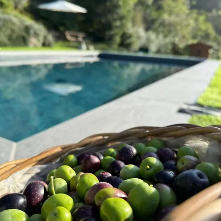 Ferienhaus Casa Sunset Hill *